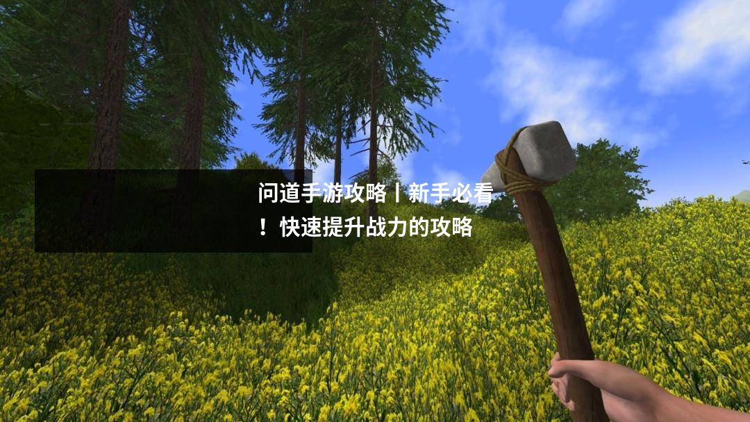 问道手游攻略丨新手必看!快速提升战力的攻略