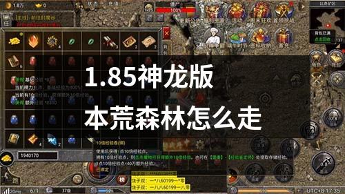 1.85神龙版本荒森林怎么走