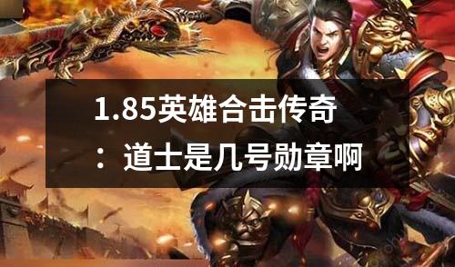 1.85英雄合击传奇:道士是几号勋章啊
