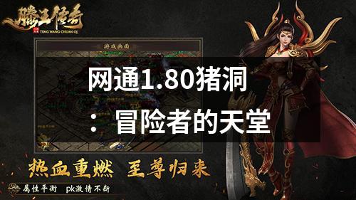 网通1.80猪洞:冒险者的天堂