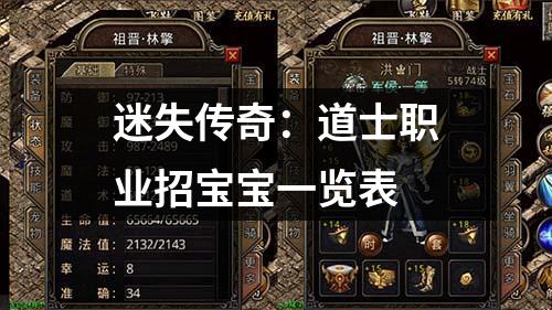 迷失传奇:道士职业招宝宝一览表