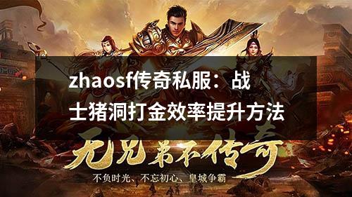 zhaosf传奇私服：战士猪洞打金效率提升方法